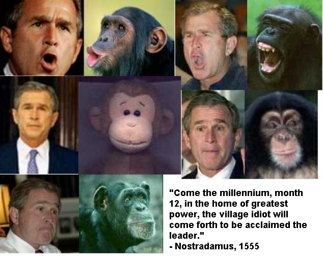 bush.jpg