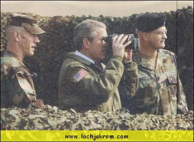 bush01.jpg
