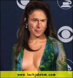 bush3.jpg