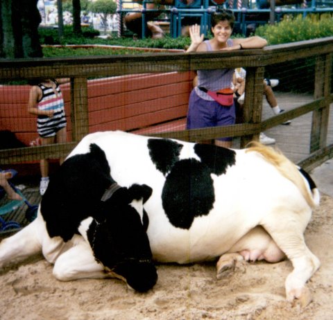 disneycow.jpg