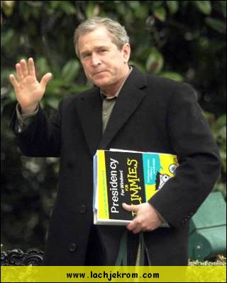 dummy_bush.jpg