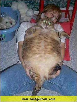zbigpussy.jpg